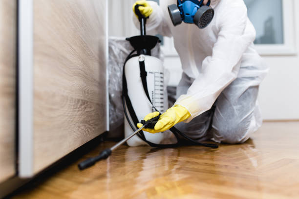 Best Pest Control Near Me  in Rock Hill, NY