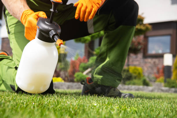 Best Pest Removal Services  in Rock Hill, NY