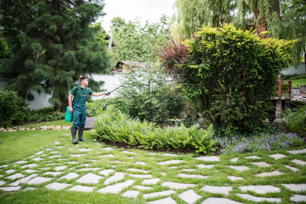 Best Mosquito Control Services  in Rock Hill, NY
